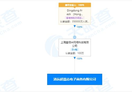 叮咚買菜拓展業務版圖 新設電子商務公司布局保健食品與電子產品銷售